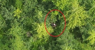 Aberdeen Police Drone Team Locates and Rescues Two Lost Mushroom Hunters