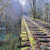 Body of Missing Hunter That Fell Through Old Trestle Recovered