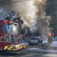 Several Pets, Home Lost Due to Fire In Shelton Monday January 2th