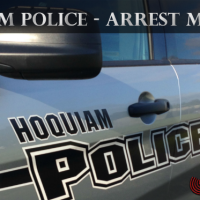 Officers Take Violent Assault Suspect Into Custody 